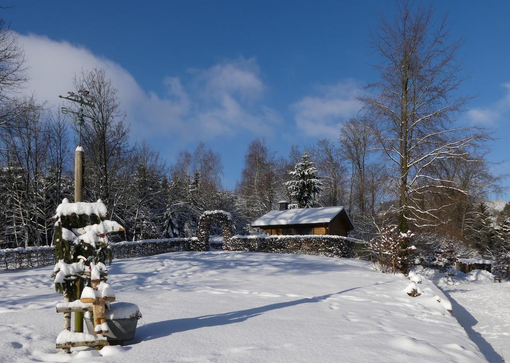 Pension Haus Am Walde シュマレンベルク エクステリア 写真