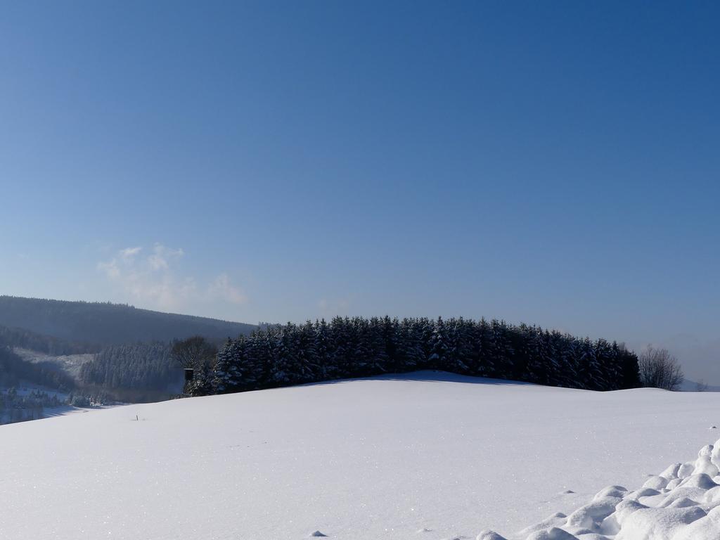 Pension Haus Am Walde シュマレンベルク エクステリア 写真