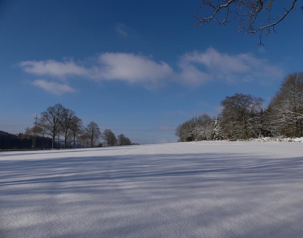 Pension Haus Am Walde シュマレンベルク エクステリア 写真