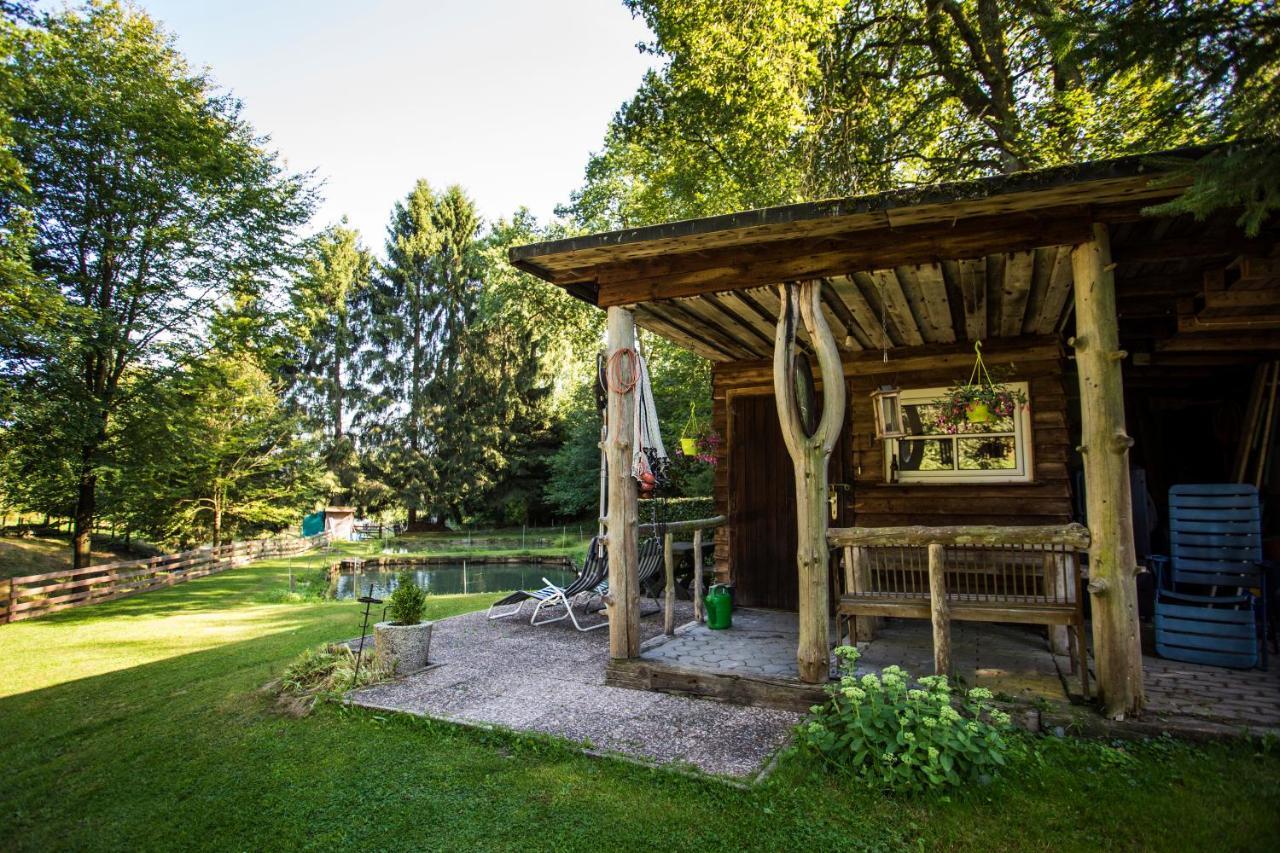 Pension Haus Am Walde シュマレンベルク エクステリア 写真